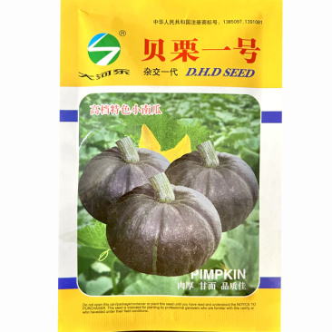 贝贝南瓜种子小南瓜雌花多易坐果肉厚而浓黄粉甜基地种植