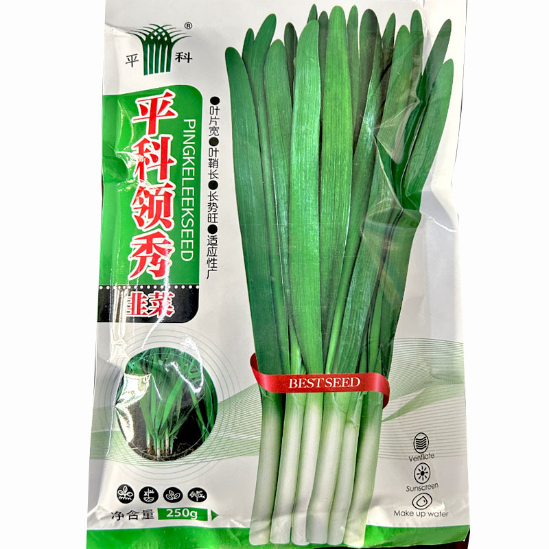 韭菜种子平科领秀韭菜耐寒无休眠直立大宽叶深绿色白根