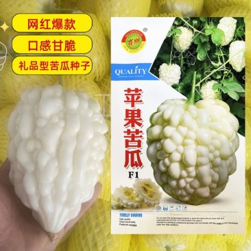 苹果苦瓜种子白苦瓜种子抗病耐热白玉剔透口感甘甜清爽