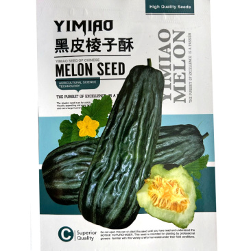 黑皮棱子酥种子早熟脆瓜果肉白绿色口感酥脆微甜