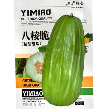 八棱脆菜瓜种子早熟抗病强雌性脆瓜口感酥脆微甜