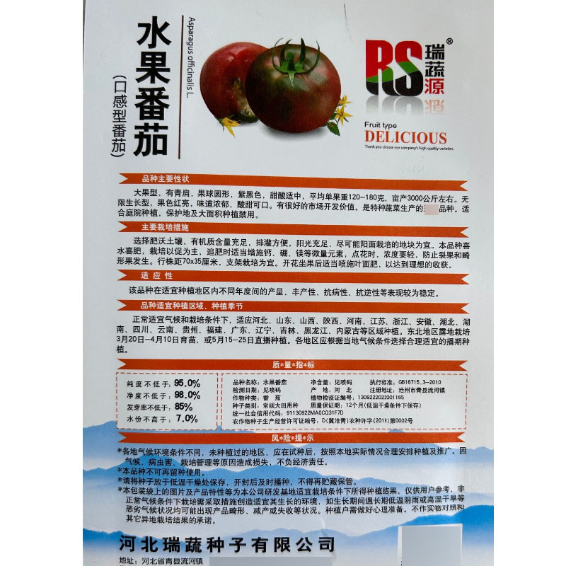 水果番茄种子大果型无限生长果色红亮味道浓郁酸甜可口