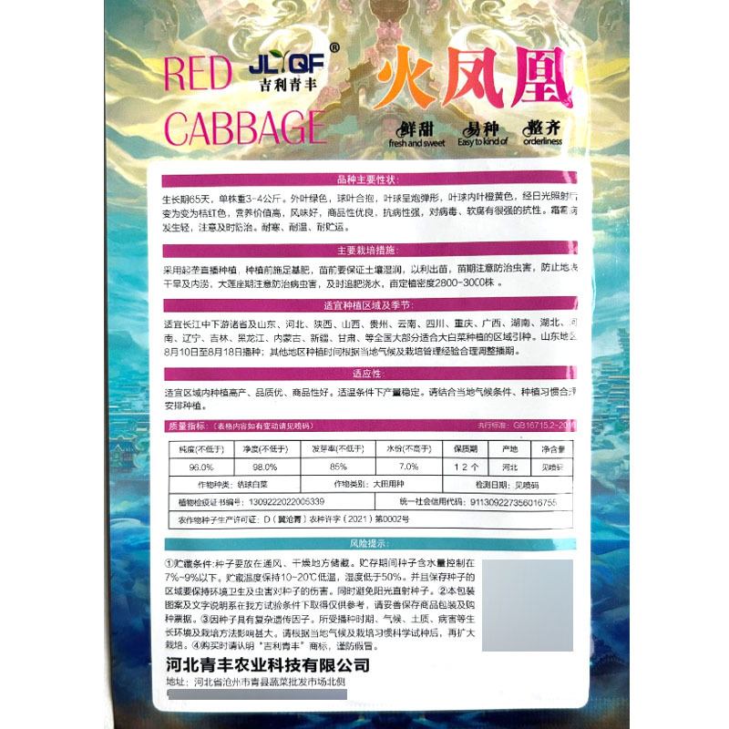 火凤凰白菜种子外叶绿色球叶合抱抗病耐寒耐贮运