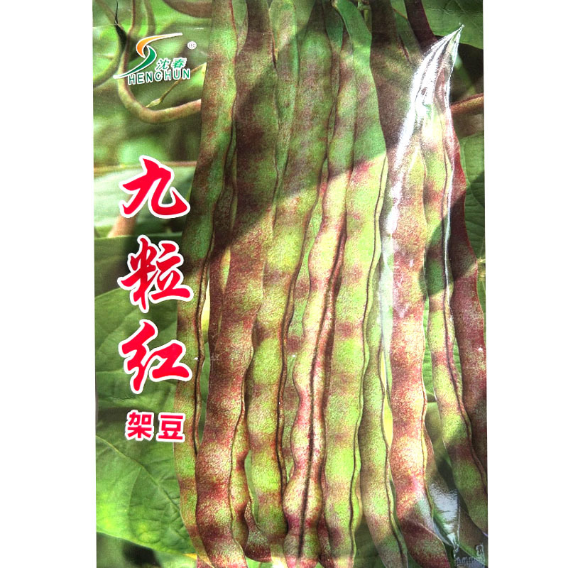 九粒红架豆种子早熟抗病结荚密耐涝耐湿耐高低温