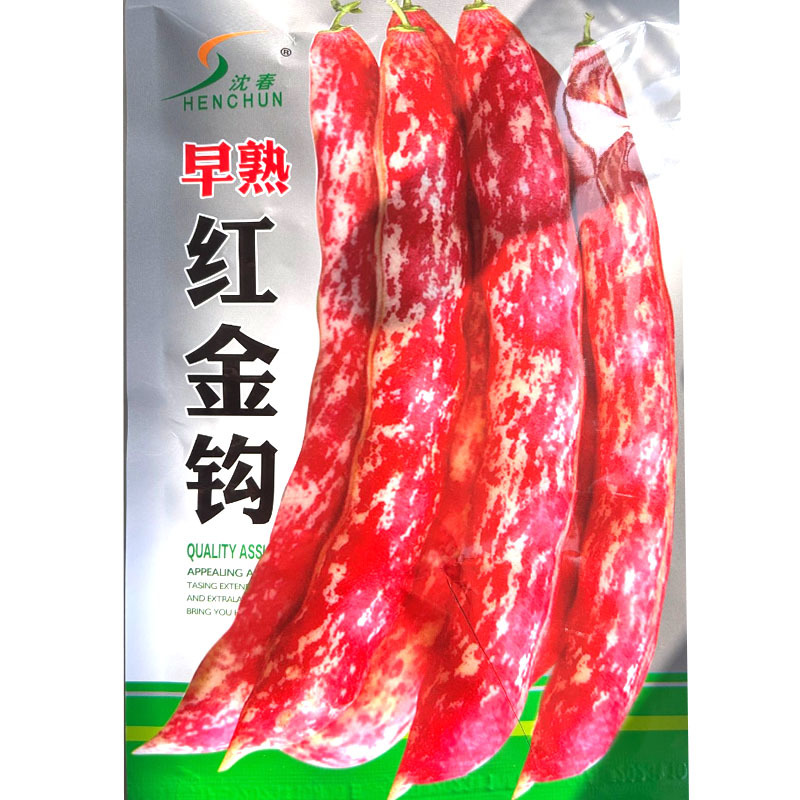 早熟红金钩豆角种子早熟抗病圆角肉厚红皮油豆角种子