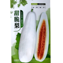 甜脆梨甜瓜种子早熟果皮成熟为乳白色瓜瓤橘红色香甜脆