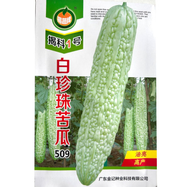 白珍珠苦瓜种子果皮白珍珠色瓜形修长长短瘤相间