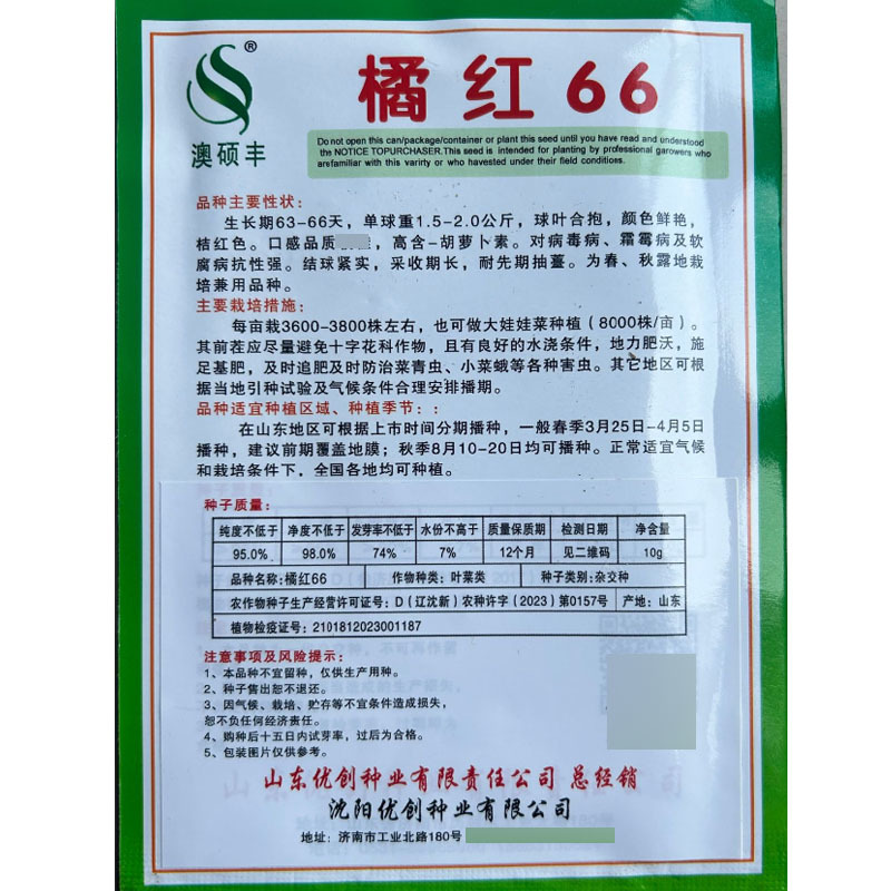 橘红66白菜种子颜色鲜艳桔红色结球紧实采收期长