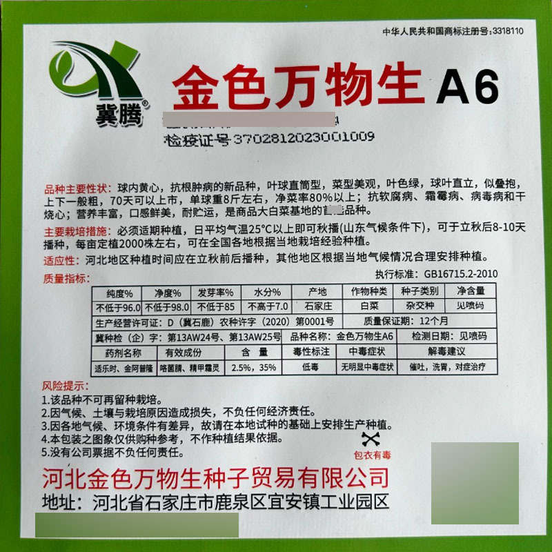 金色万物生大白菜种子球内黄心高抗根肿病叶球直筒型