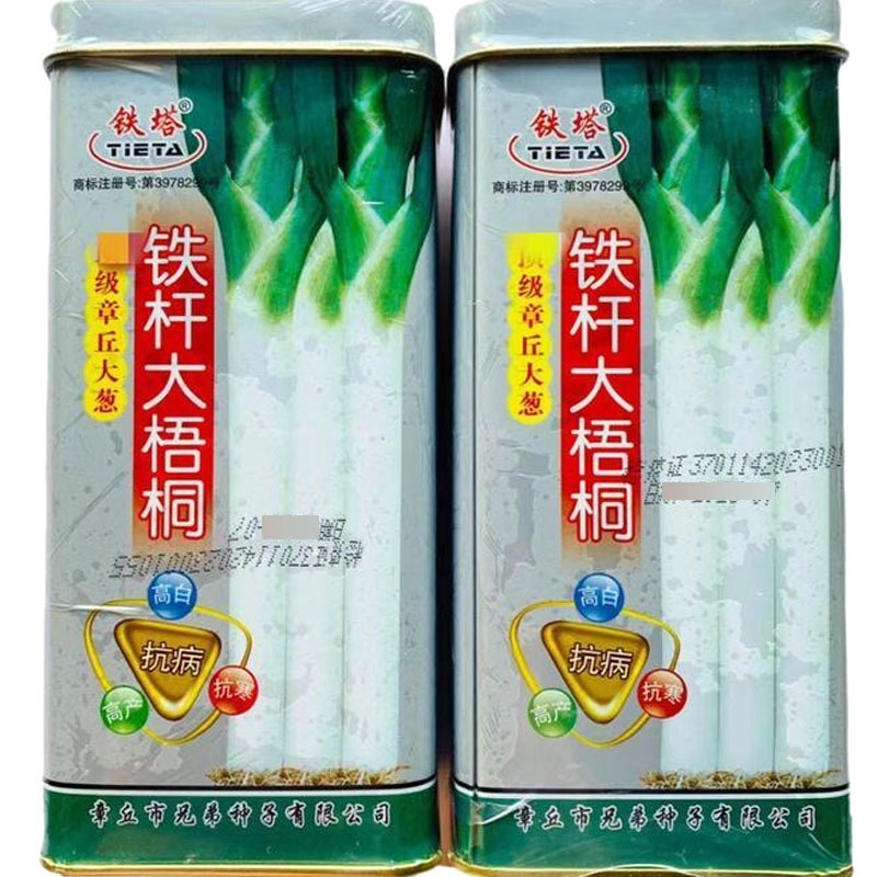 铁杆大梧桐大葱种子章丘大葱种子高白抗病抗寒