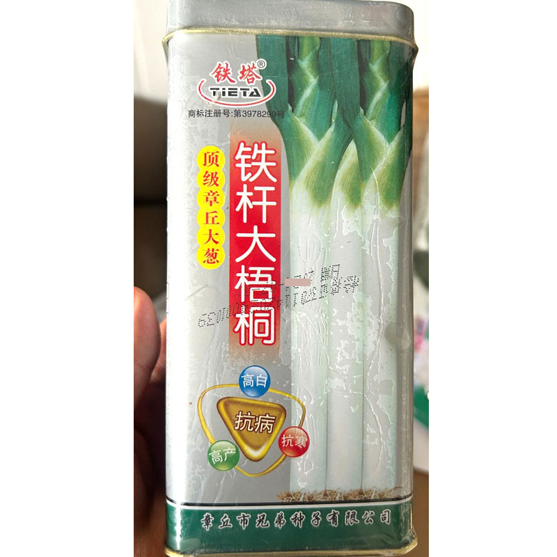 铁杆大梧桐大葱种子章丘大葱种子高白抗病抗寒