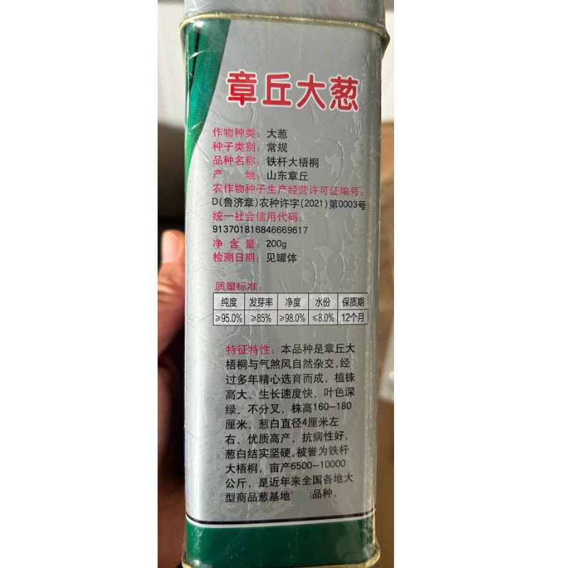 铁杆大梧桐大葱种子章丘大葱种子高白抗病抗寒