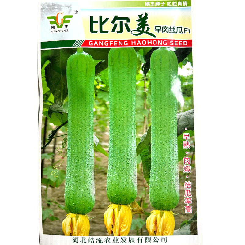 比尔美早肉丝瓜种子早熟肉嫩结瓜率高肉质白嫩耐老