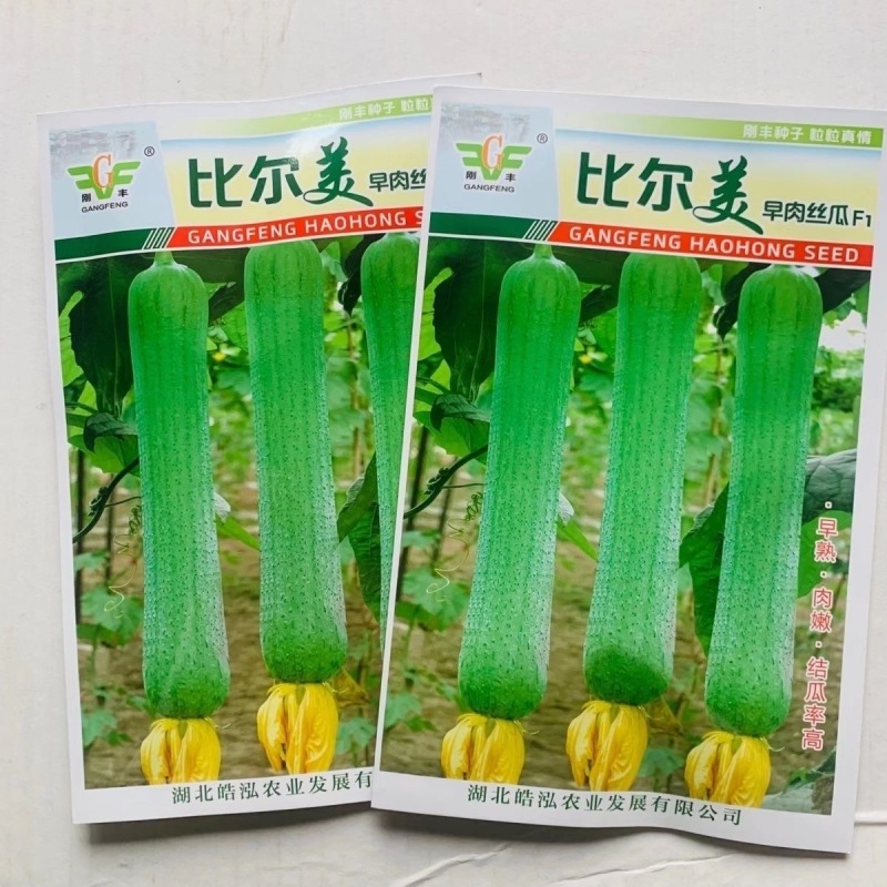 比尔美早肉丝瓜种子早熟肉嫩结瓜率高肉质白嫩耐老