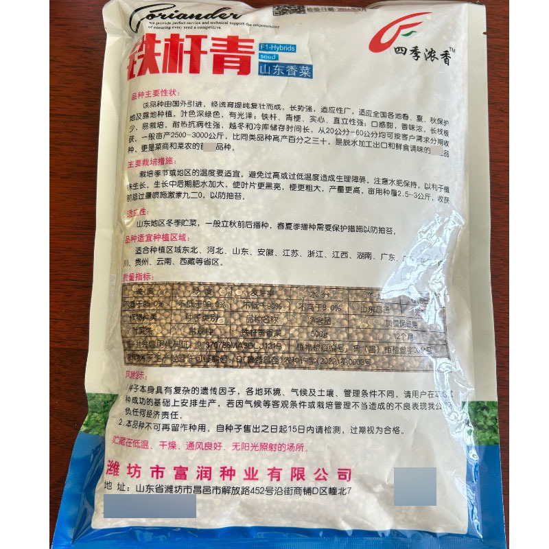 铁杆青香菜种子四季浓香铁杆青梗实心直立性强口感甜香味浓