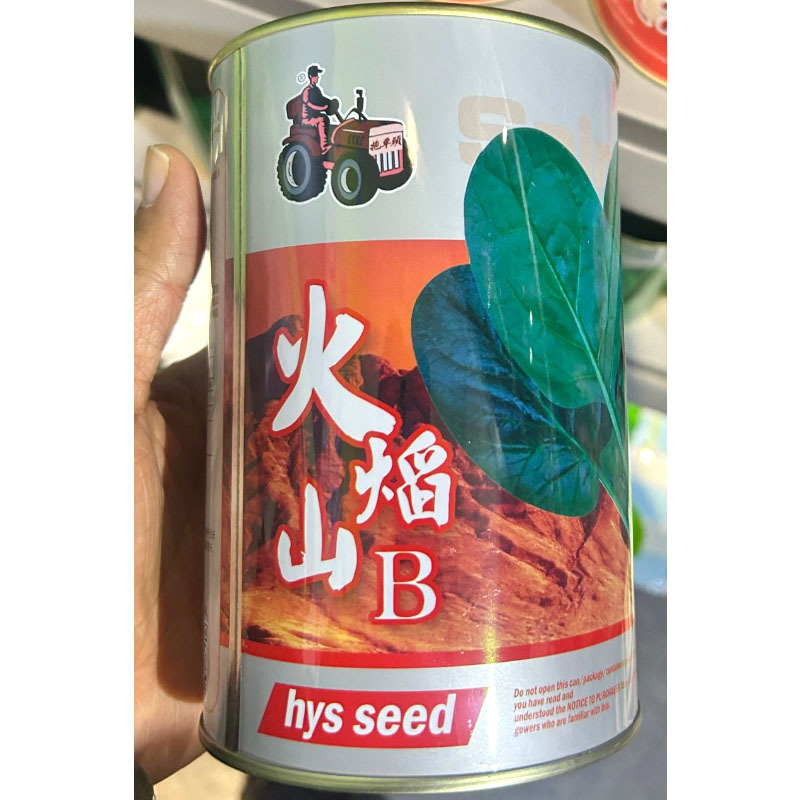 火焰山菠菜种子耐热耐抽苔抗死苗直立圆叶易捆扎