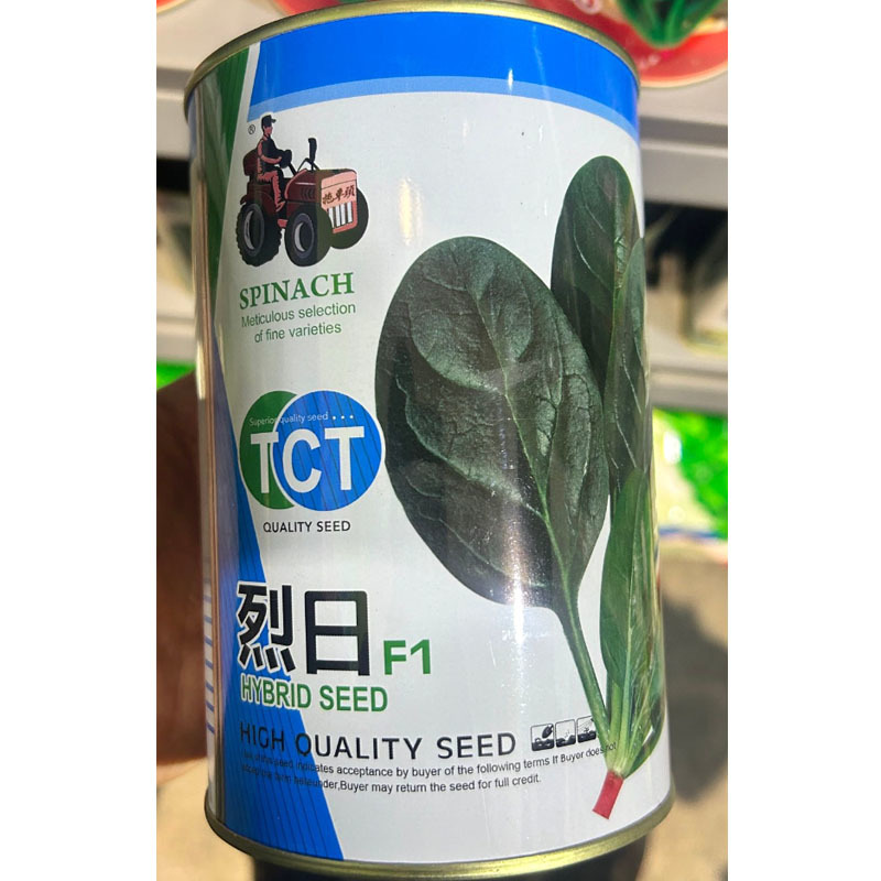 烈日菠菜种子抗病易捆扎叶肉厚颜色黑绿耐抽苔