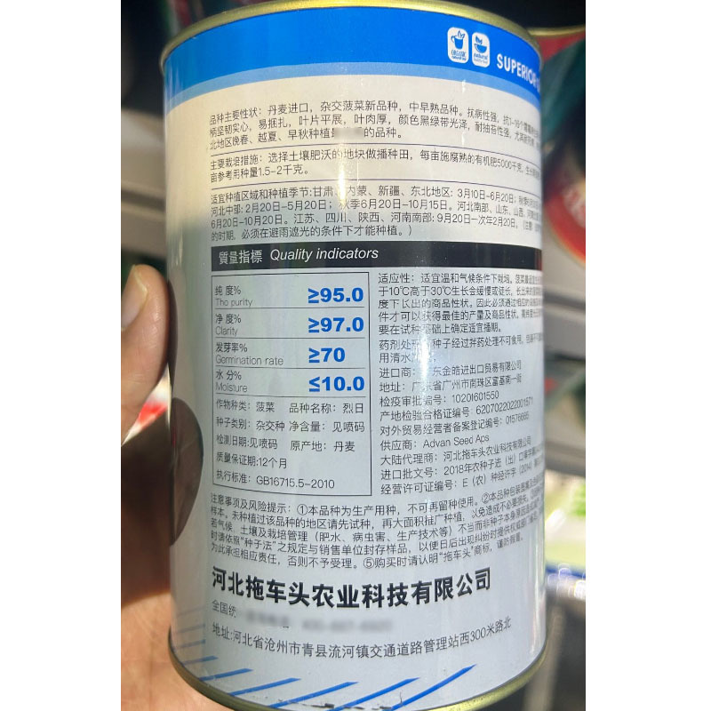 烈日菠菜种子抗病易捆扎叶肉厚颜色黑绿耐抽苔