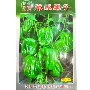 麻辣王子薄皮麻辣椒种子早熟辣椒适中皮薄肉脆