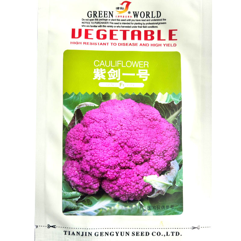 紫剑一号紫色花椰菜种子紫花菜种子花球紫圆紧实