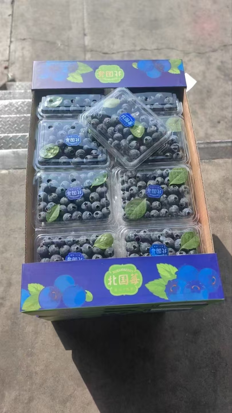 精品蓝莓大量有货蓝宝石蓝莓产地直发品质保证