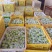 广西青枣牛奶枣大量现货供应，量大价优，对接全国客商，欢迎电联