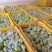 广西青枣牛奶枣大量现货供应，量大价优，对接全国客商，欢迎电联