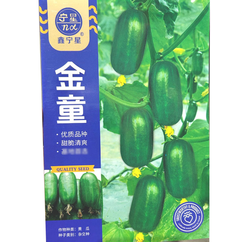 玉女水果黄瓜种子甜脆细腻节间短节节有瓜口感好