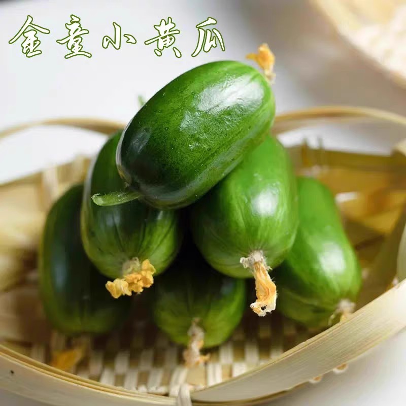 玉女水果黄瓜种子甜脆细腻节间短节节有瓜口感好