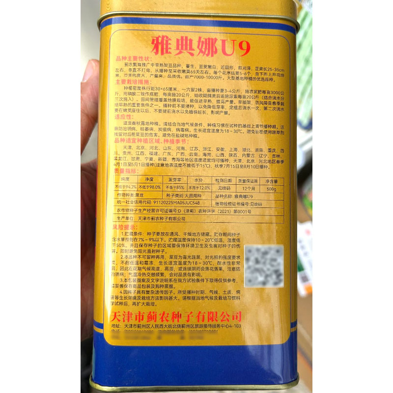 雅曲娜U9架豆种子中早熟架豆豆荚嫩白条直不打弯