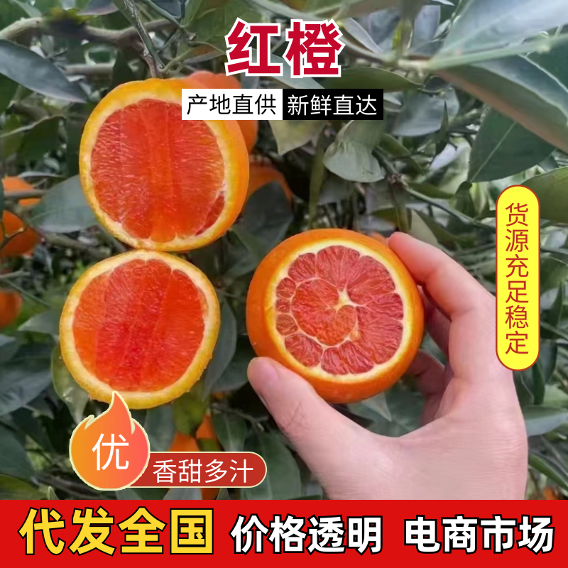 红橙湖北红橙大量供应皮薄多汁对接全国市场电商