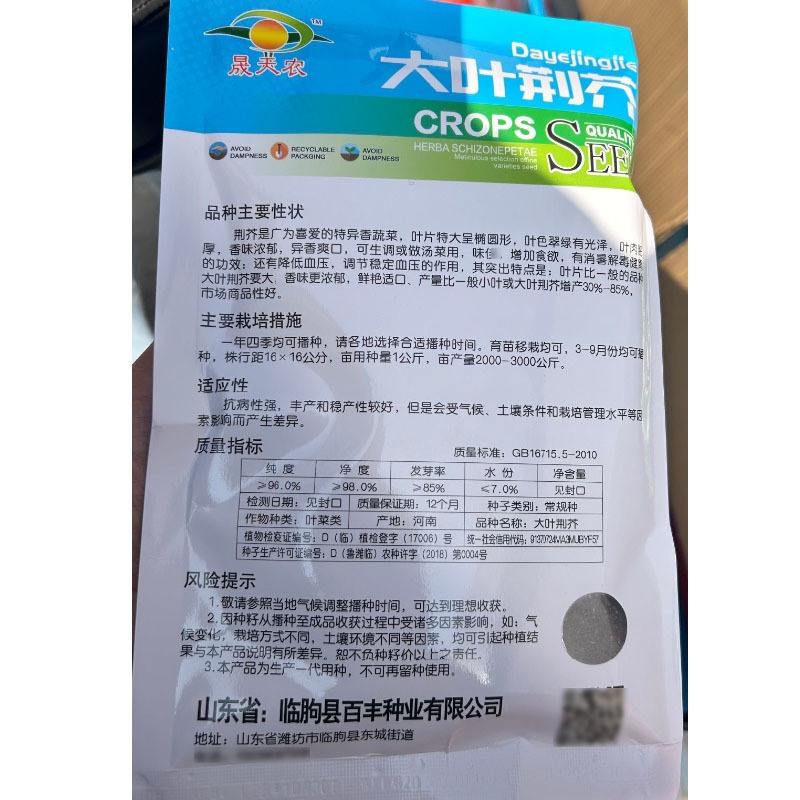 大叶荆芥种子河南荆芥小青菜盆栽籽种耐热荆芥春秋四季菜种籽