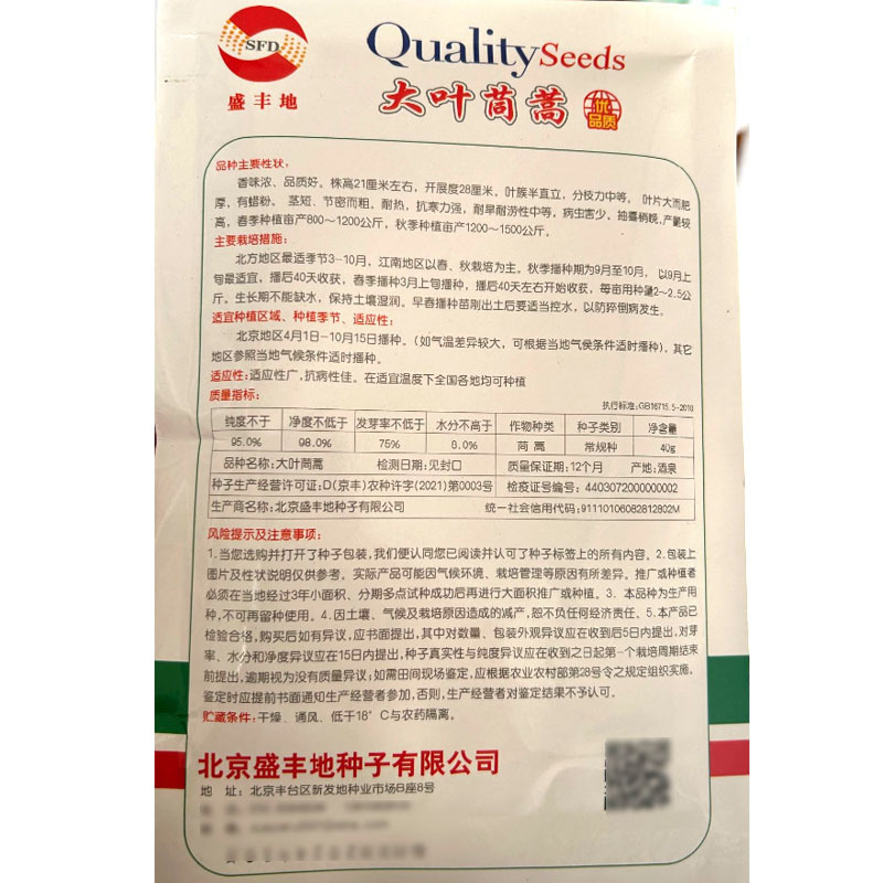 大叶茼蒿种子香味浓叶片大而肥厚茎短耐热抗寒