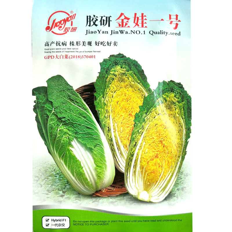 胶研金娃一号娃娃菜种子抗病抽苔晚