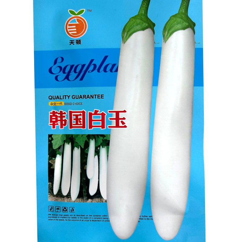 韩国白玉白长茄种子茄条白亮抗病口感绵软采收期长