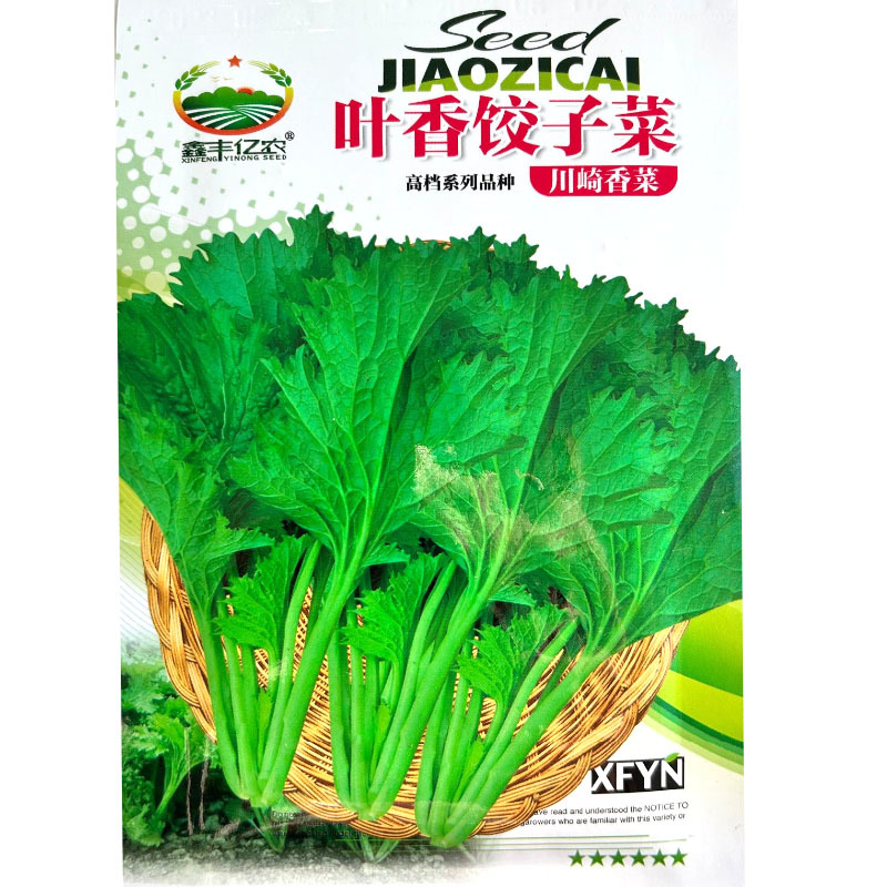 叶香饺子菜种子脆嫩清香可口抽苔晚抗病