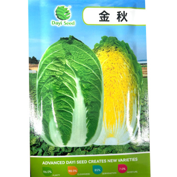 金秋黄心大白菜种子叶球合抱外叶浓绿内叶深黄