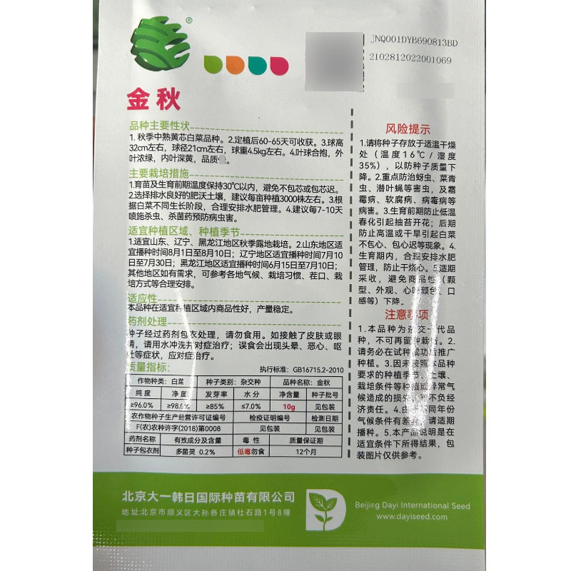 金秋黄心大白菜种子叶球合抱外叶浓绿内叶深黄
