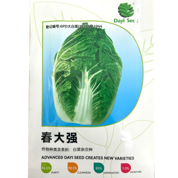 春大强白菜种子早熟春秋大白菜品种抗病耐寒耐抽苔