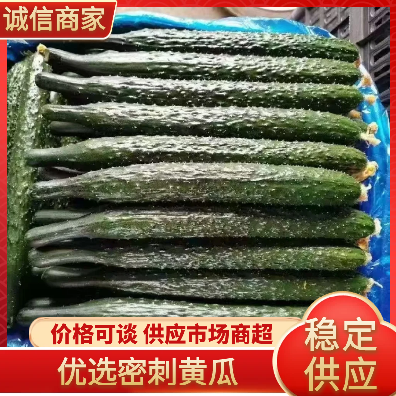 精品黄瓜密刺黑油亮干花条直支持各种包装