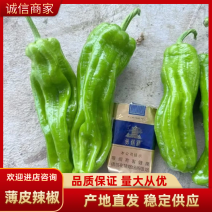 《推荐》薄皮辣椒/河南鲜辣椒/专业代办/代收代发全国