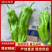 《推荐》薄皮辣椒/河南鲜辣椒/专业代办/代收代发全国