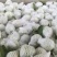 精选红心芭乐番石榴品质好价格实惠欢迎电联