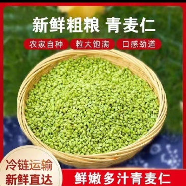 麦仁青麦仁真空包装按需包装一手货源量大从优欢迎咨询