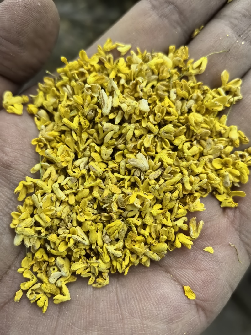 无硫桂花批发干桂花真空脱水无硫桂花大量有货