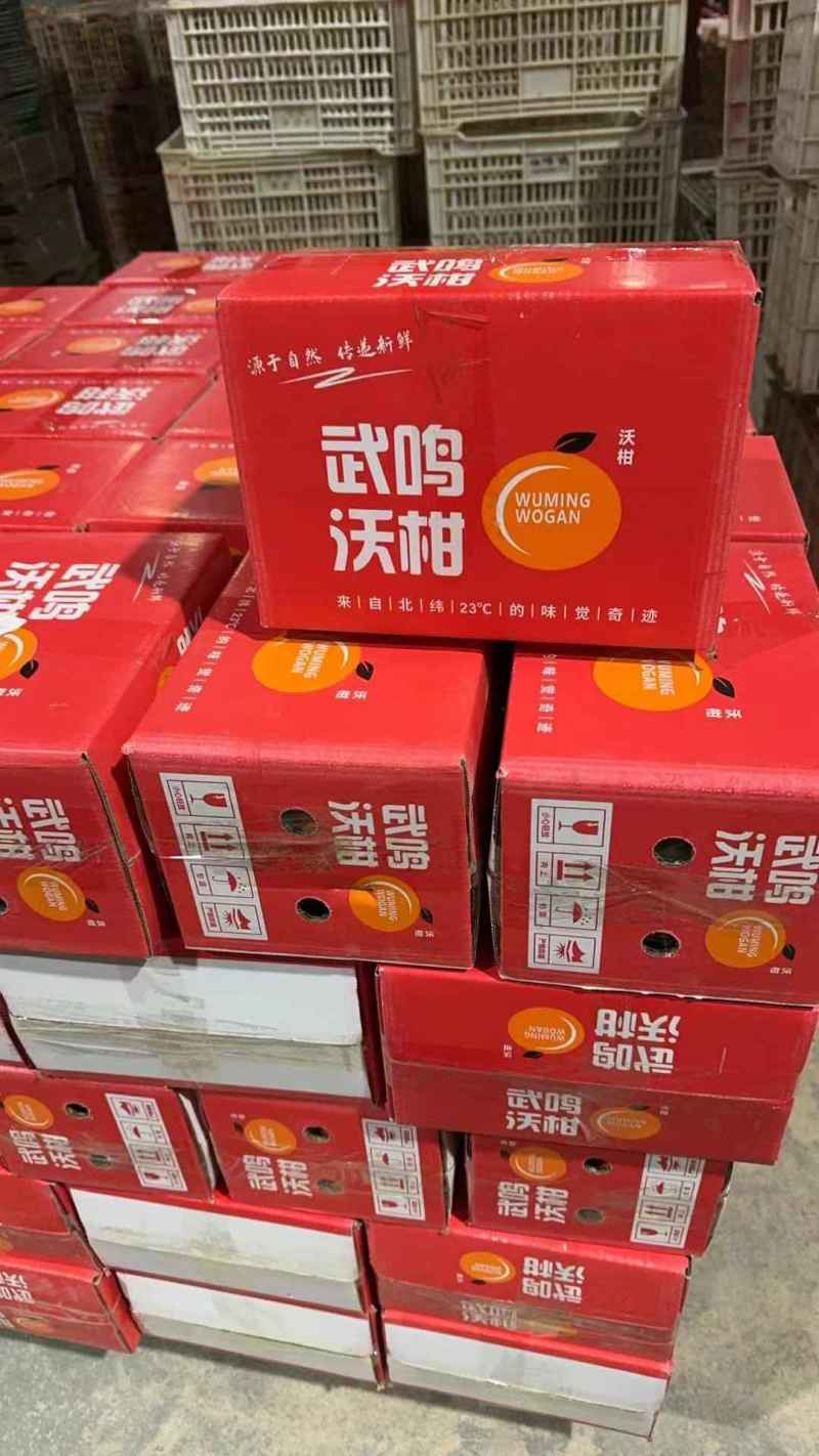 广西南宁武鸣沃柑大量上市对接落地配商超美团多多各大平台