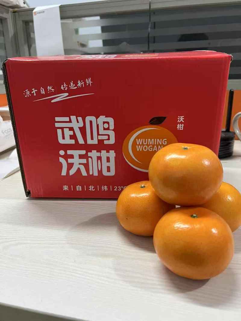 广西南宁武鸣沃柑大量上市对接落地配商超美团多多各大平台