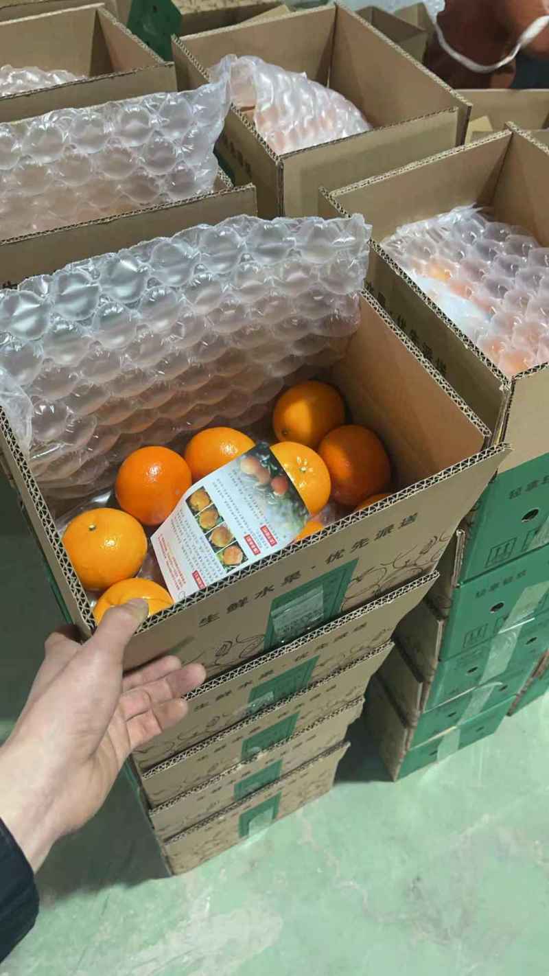 广西南宁武鸣沃柑大量上市对接落地配商超美团多多各大平台