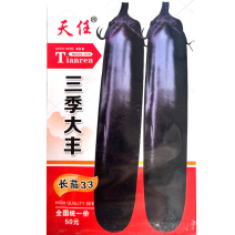 三季大丰长茄种子中早熟果色紫黑光亮不易弯曲无青头顶