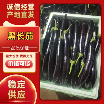 黑长茄云南长茄，产地一手货源，可视频看货，代发全国
